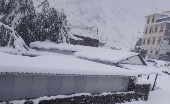 हिम्लुङ हिमाल बेसक्याम्पमा हिमपहिरो, उद्धार टोली घटनास्थलतर्फ 