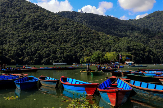 फेवा तालको सिमानाभित्र डोजर नचलाउन उच्च अदालतको आदेश 