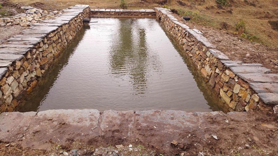 वन्यजन्तुका लागि पोखरी