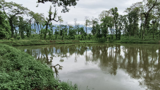 पर्यटन प्रवर्द्धन गर्न जंगलमा ताल