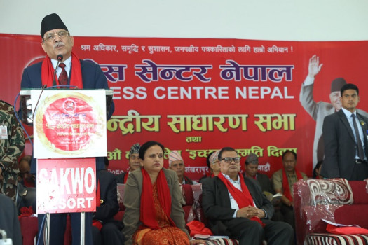 मुलुक सुशासनको यात्रामा हिँडिसक्योः प्रधानमन्त्री प्रचण्ड