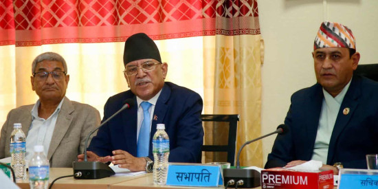 विधेयक अगाडि बढाउन ढिलो गर्ने, छेडखानी गर्ने काम नगरियोस् : प्रचण्ड