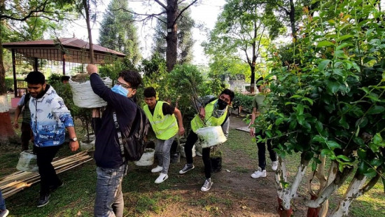 काठमाडौं महानगरमा रोपिँदै एक लाख बिरुवा