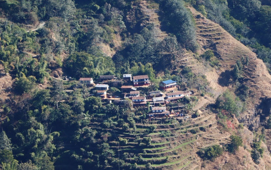 बालबच्चा र बूढापाकाले धानिरहेछन् गाउँ