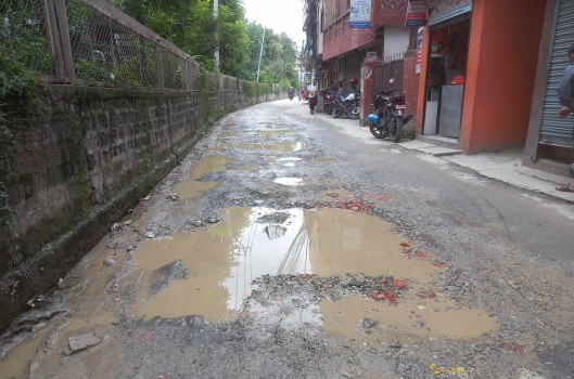 विश्व सम्पदा क्षेत्रको सडकको दुरावस्था