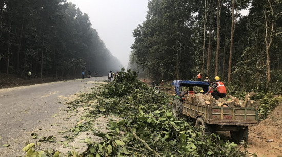 नारायणगढ-बुटवल सडक विस्तार : मासिए वरपिपलका चौतारा, भत्किए प्रतिक्षालय