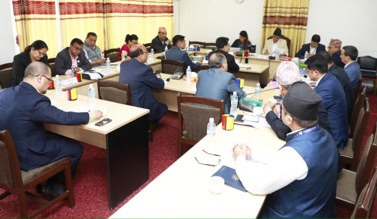 समस्याग्रस्त सहकारीका समस्या समाधान गर्न राष्ट्र बैंकको पाँच बुँदे सुझाव