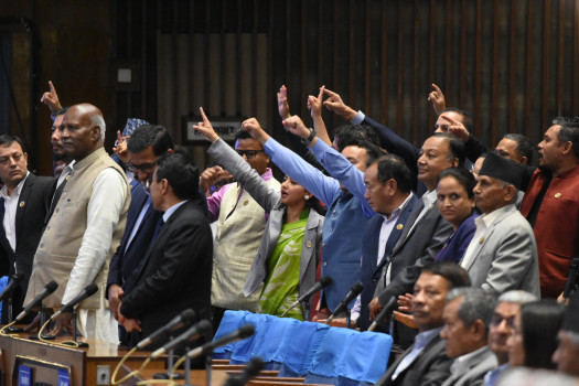 भिजिट भिसा प्रकरण: आर्थिक सर्वेक्षण संसद्‍मा प्रस्तुत हुन पाएन, के होला बजेट ?