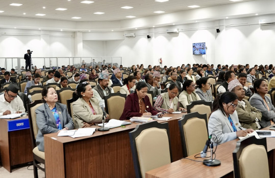 संसदमा आजबाट बजेटमाथि छलफलको कार्यसूची