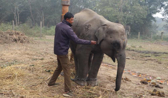 शुक्लाफाँटामा अब 'शेषचन्द्र'ले घुमाउँछ पर्यटक