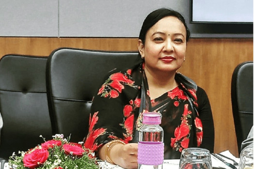 विद्यमान व्यवस्थाको सही व्यवस्थापनमा दल चुक्दा प्रश्न उठे : सांसद विक