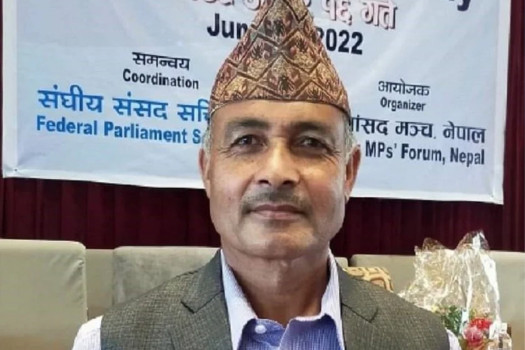 प्रतिनिधिसभा र राष्ट्रियसभाबिच समन्वय गरेर अघि बढ्नुपर्छ : सांसद विश्वकर्मा