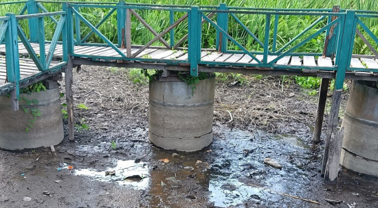 खडेरीले सुक्न थाल्यो बेतना सिमसार