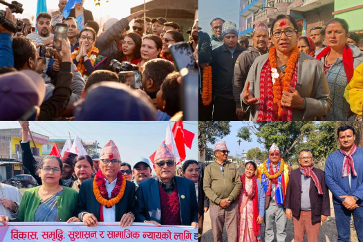 चुनावी प्रचारको पूर्वतयारीमा दलहरू