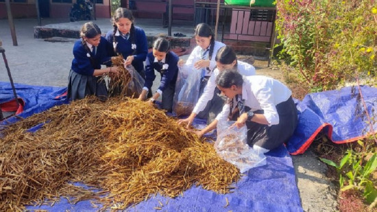 जहाँ विद्यार्थी च्याउ बेचेर पैसा कमाउँछन्