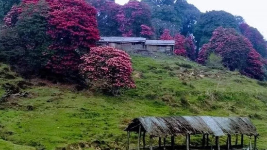 सुकाधापमा पर्यटक भित्र्याउन महोत्सव हुँदै