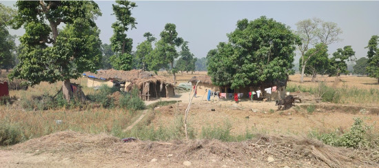 २४ वर्षदेखि न्यायको पखाईमा शुक्लाफाँटा आरक्ष विस्थापित