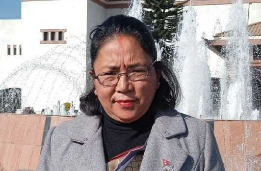 सांसदले आफूलाई लागेको कुरा स्वतन्त्ररुपमा राख्न पाउनुर्छ : सांसद श्रेष्ठ