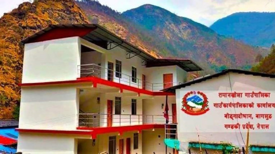 तमानखोला गाउँपालिकाले पीडित किसानलाई राहत दिँदै, प्रतिघर एक मुरी मकैको बीउ दिने