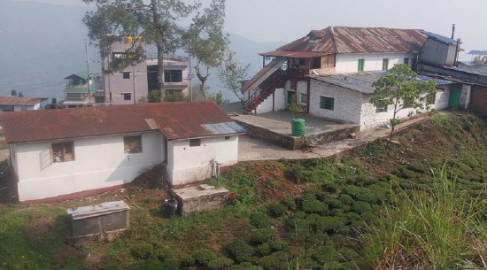 औद्योगिक जिल्लातर्फ अघि बढ्दै इलाम