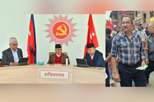 एमालेको गणतन्त्र उत्सव भृकुटीमण्डपमा, रत्नपार्कमा भेला हुँदै राजावादी