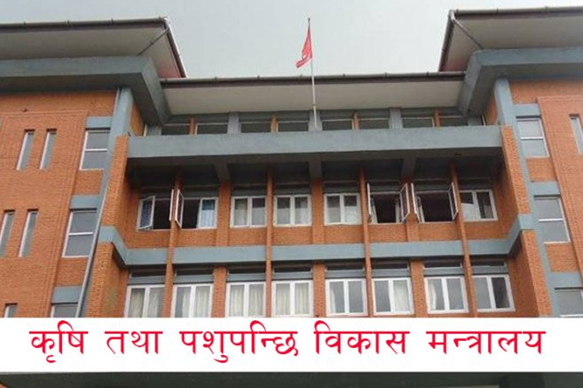 मल खरिदका लागि रू १२ अर्ब ७१ करोड थप