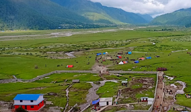 सिस्नो र गुन्द्रुक बन्यो आम्दानीको गतिलो स्रोत