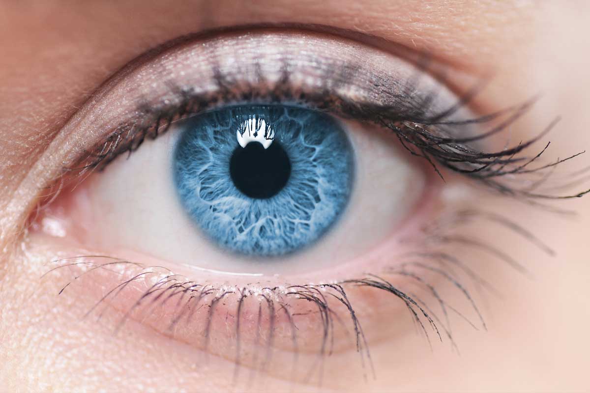 ‘आँखालाई माया गरौं’ भन्‍ने मुल नारासहित विश्व दृष्टि दिवस मनाइने