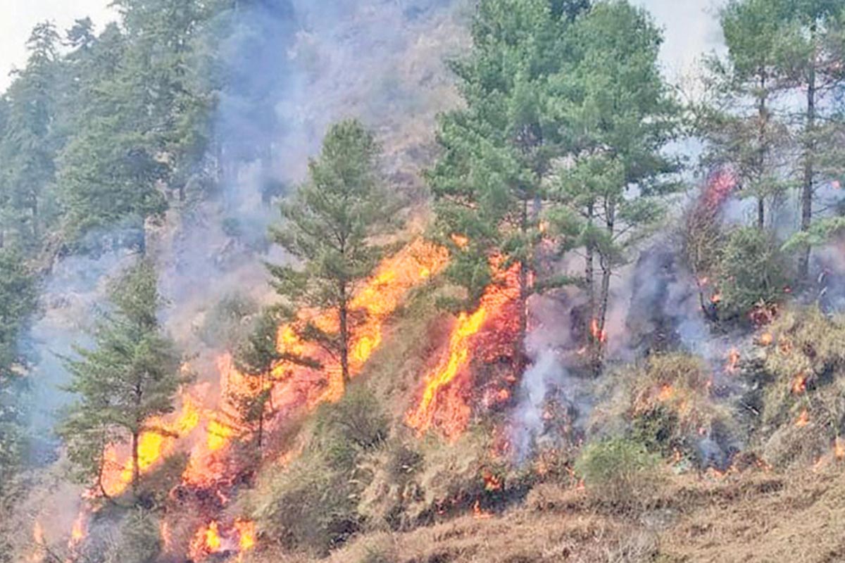 हिउँ र पानी नपर्दा म्याग्दीका २५ ठाउँमा डढेलो