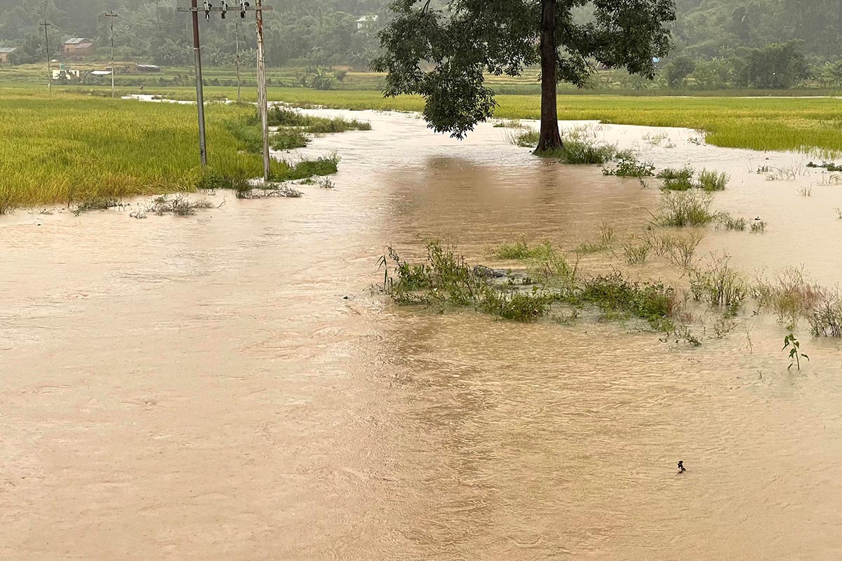 कर्णालीमा वर्षा : तल्लो सुर्खेत डुबानमा, अधिकांश सडक अवरुद्ध