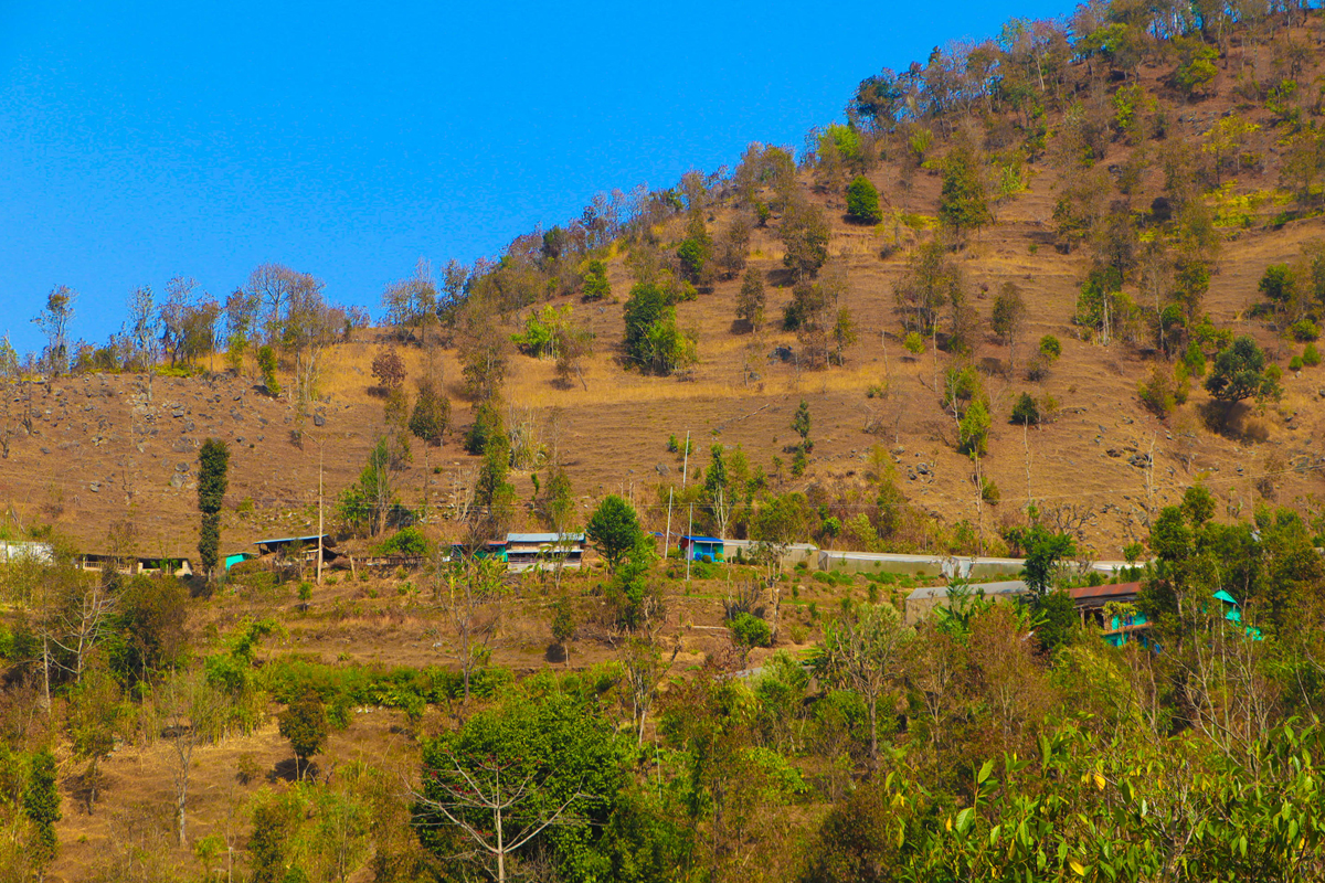 जहाँ मलामी पनि बाँदर कुरुवा राखेर जानुपर्छ
