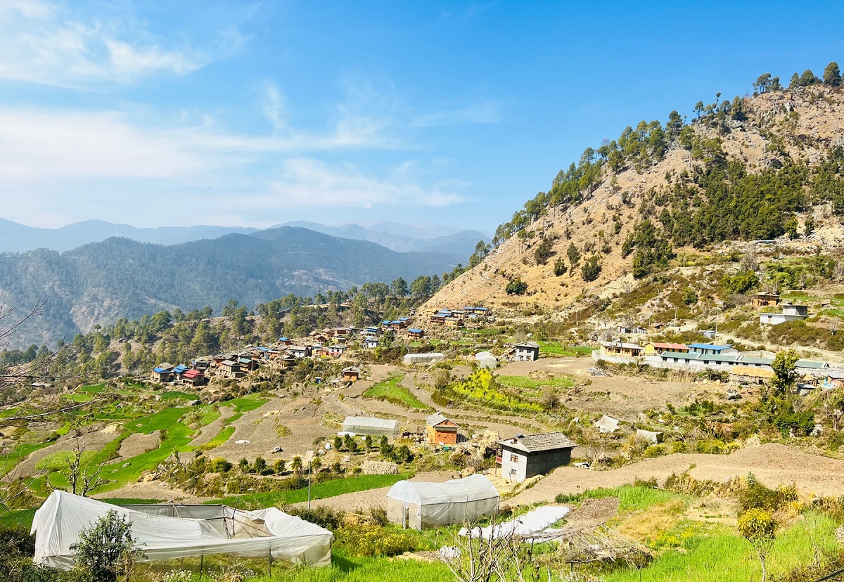 सुन्तलाको पकेट क्षेत्रका रुपमा चिनिएको दम्दाला गाउँ