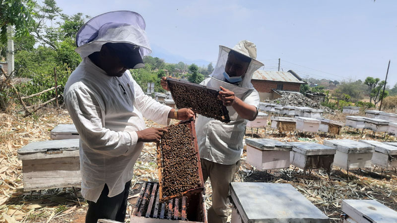 मह बेचेर वार्षिक चार लाख कमाउँदै रूपबहादुर