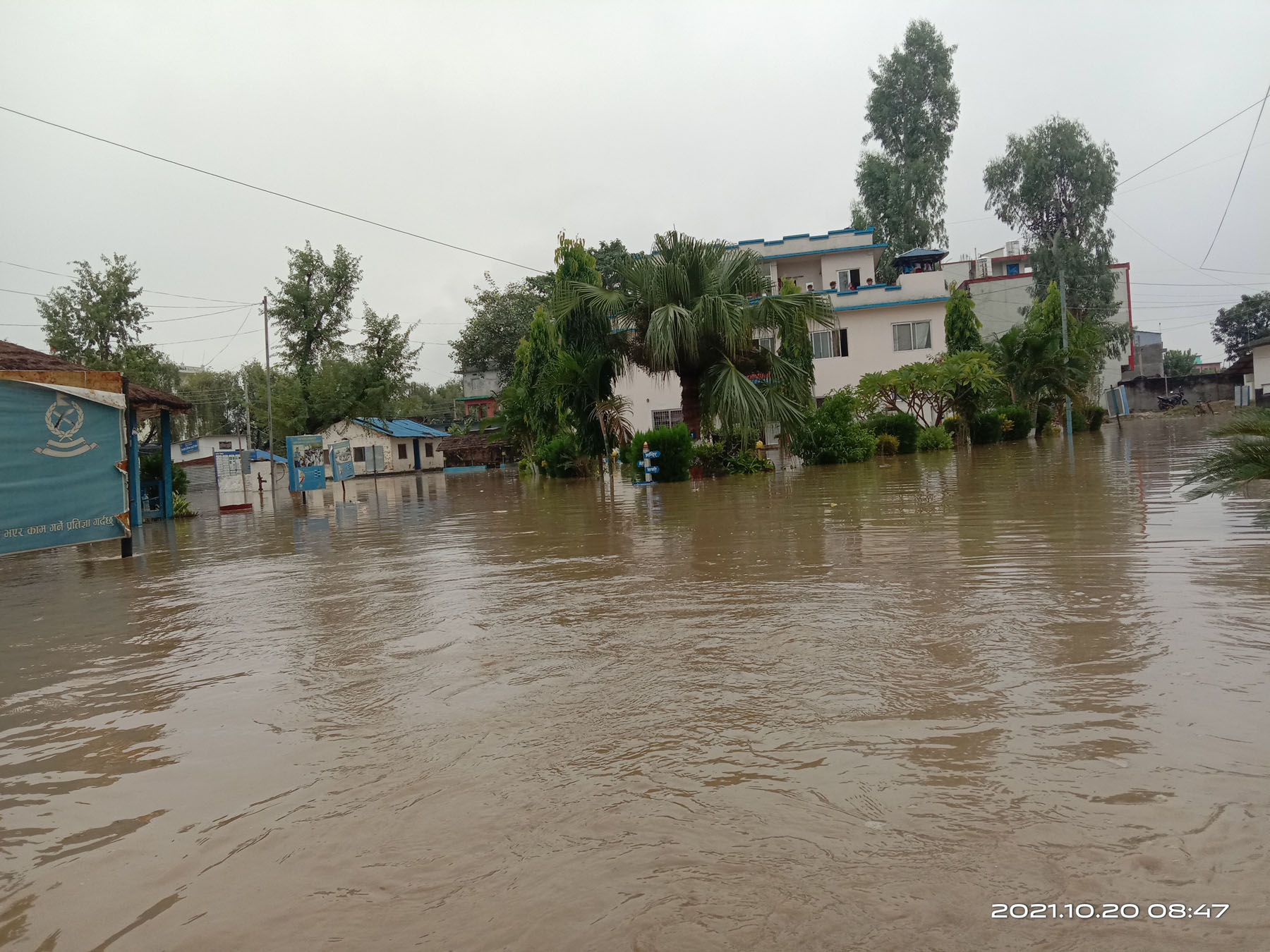 बाढीपहिरो अपडेट: ५० जनाको मृत्यु, ३१ बेपत्ता, कहाँ के भयो?