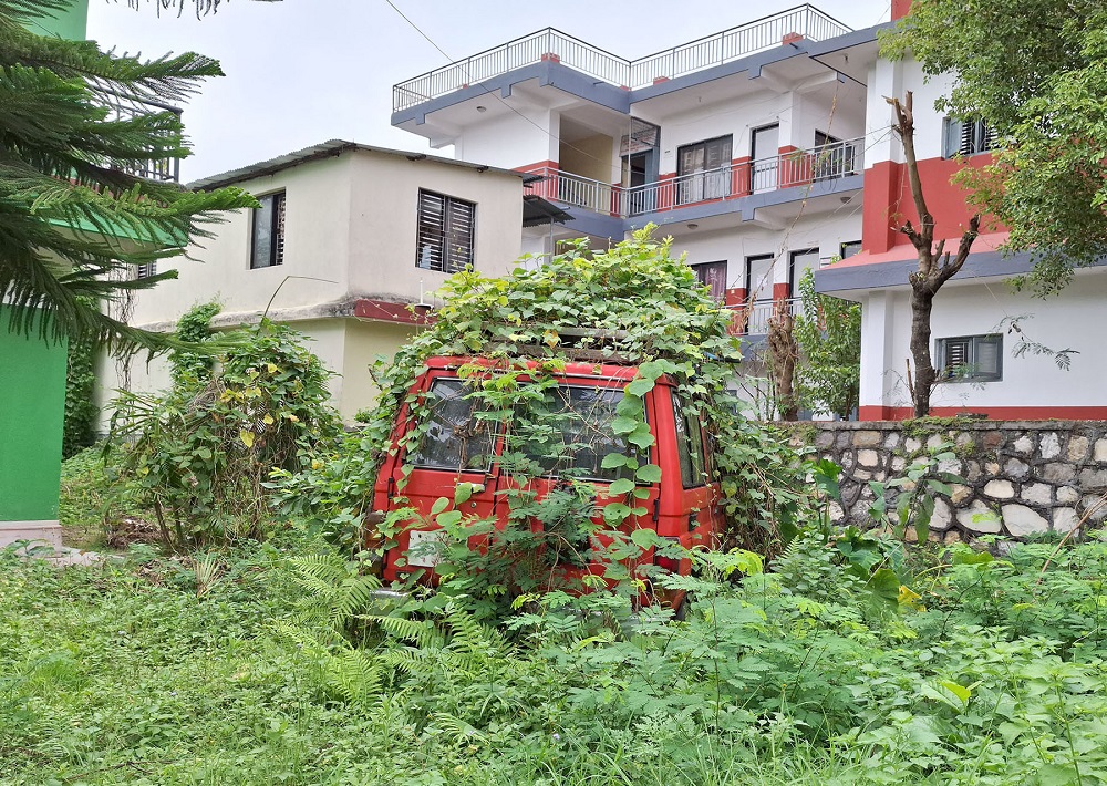 झाडीले छोप्यो गाडी