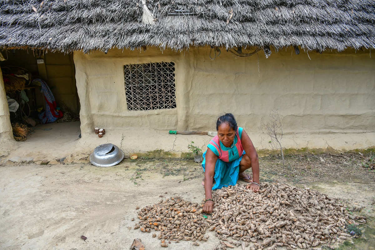 बेसारको बिउ छान्दै मध्यनगरकी स्थानीय महिला