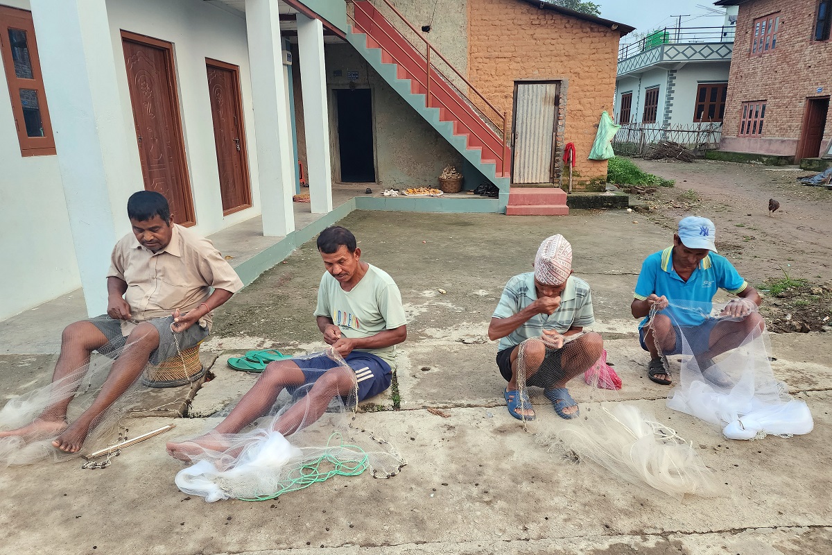 पर्ला कि त जालमा माछा !