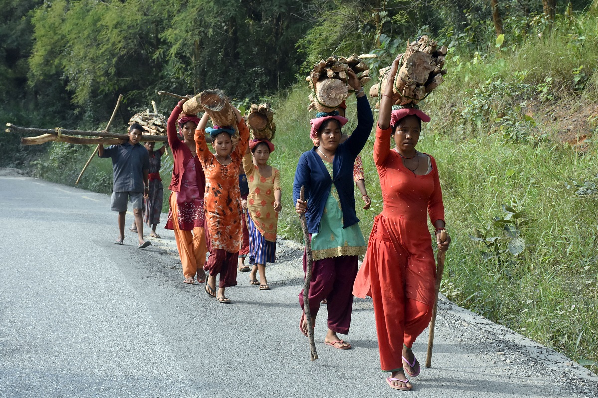 जंगलबाट दाउरा लिएर घर फर्कंदै घोराहीका स्थानीय