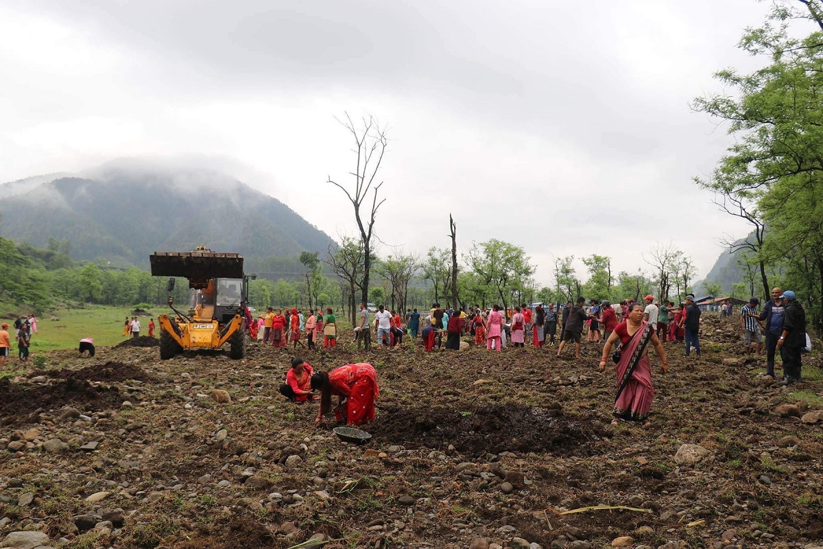 गौ संरक्षण केन्द्रमा घँस रोप्नका लागि श्रमदान गरिँदै