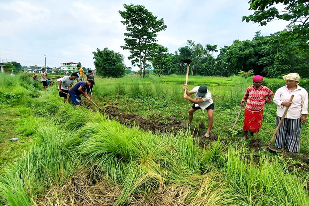 खानेपानीका लागि श्रमदान