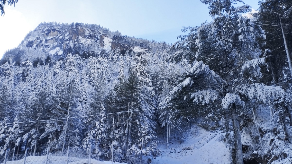 समय घर्केपछि परेको हिउँले के फाइदा हुन्छ मनाङमा ?