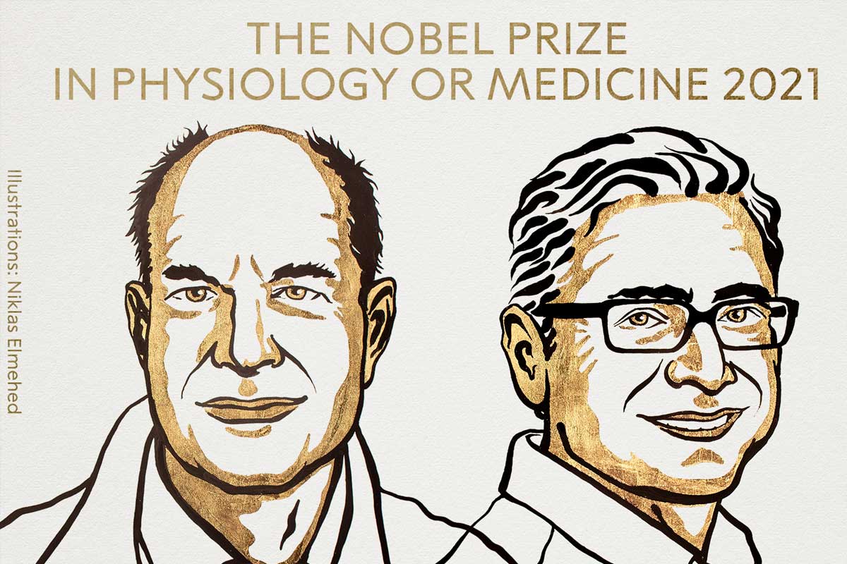 मायाको अँगालोमा घामको तापको प्रभाव खोज्‍ने वैज्ञानिकलाई नोबेल पुरस्कार