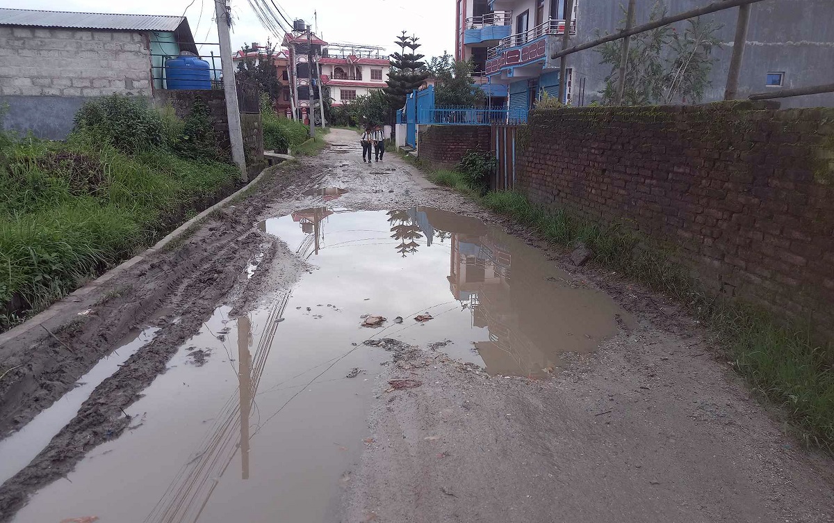 सडकको दूरावस्था