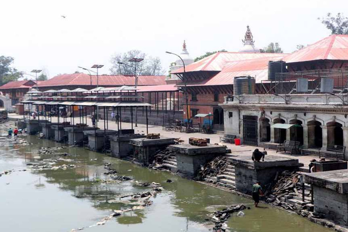 पशुपति आर्यघाटबाट बाँस र लुगाफाटो व्यवस्थापन गर्न माग