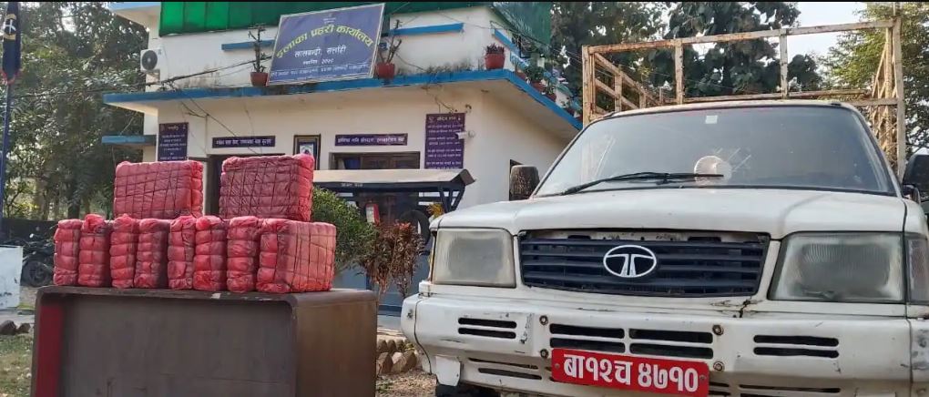 सर्लाहीमा ५२ किलो गाँजासहित एक जना पक्राउ