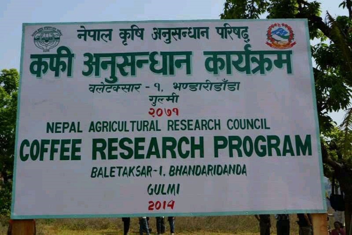 गुल्मीको कफी अनुसन्धान कार्यक्रम उपलब्धिविहीन