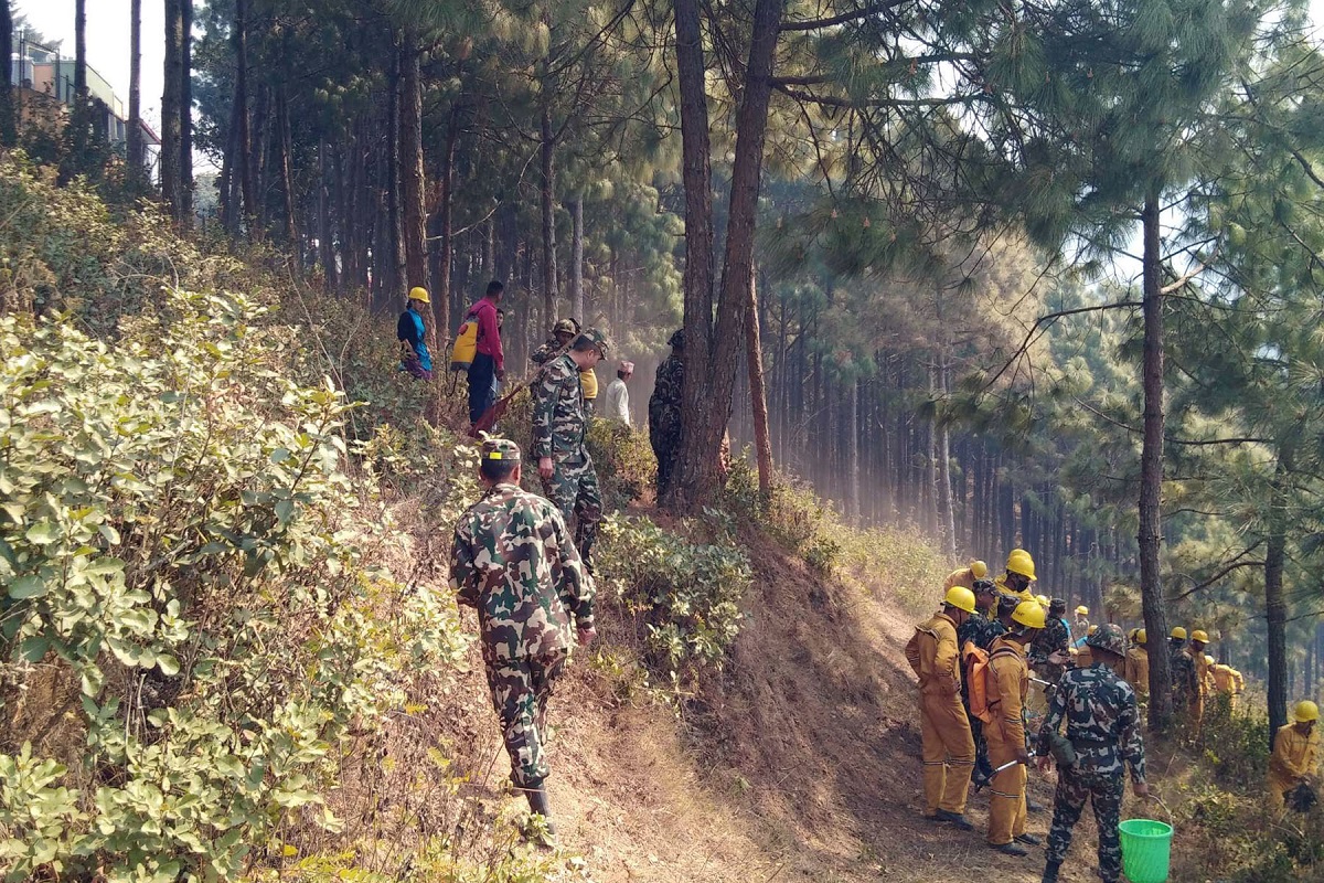 रामेछापको टाउके सामुदायिक वनमा लागेको आगो नियन्त्रणमा लिइँदै