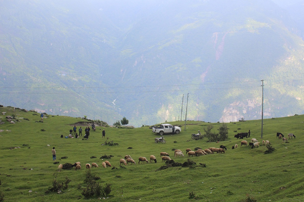 रुइसेको लोभलाग्दो सुन्दरता