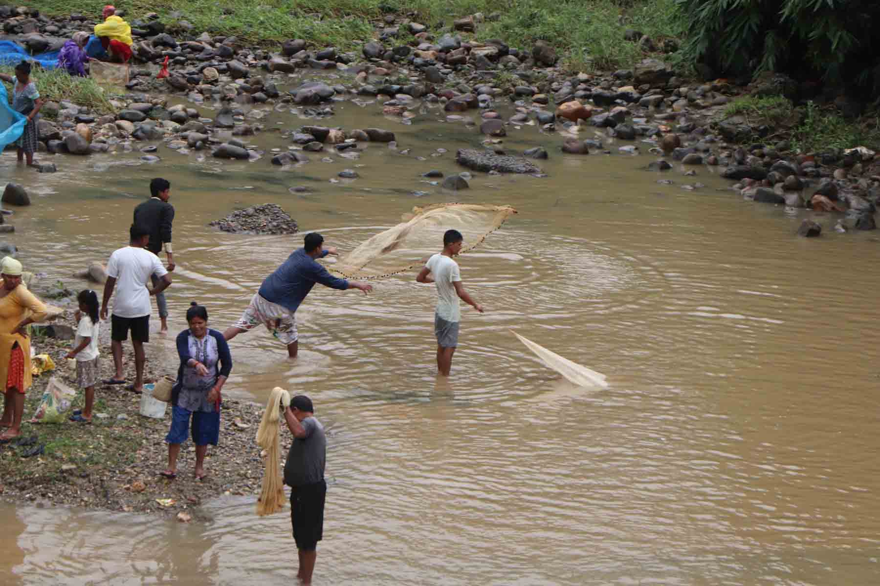 धमिलो पानीमा माछा