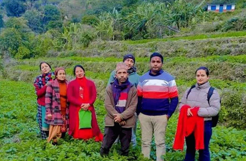 आमा समूहद्वारा सामूहिक आलुखेती